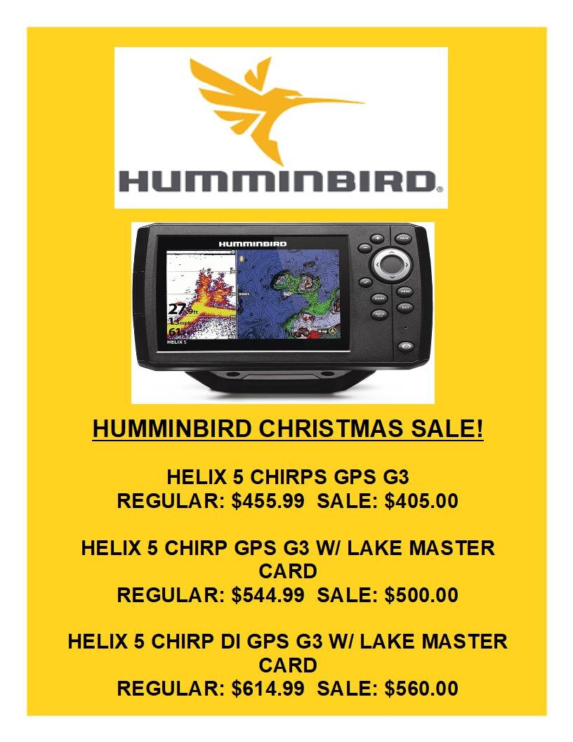 HBIRD XMAS SALE 2024